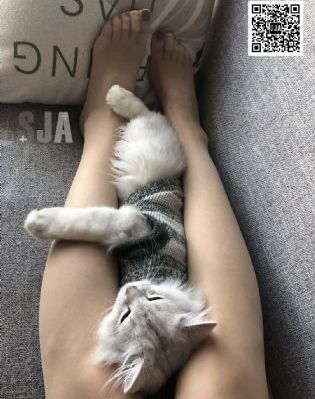 一道本在线免费视频_BD英语日韩免费观看